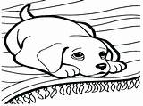 Coloring Pages Boxer Puppy Dog Getcolorings Cartoon sketch template