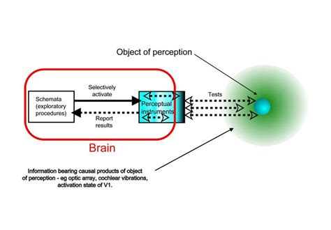 perceptual activity theory schemata control  perceptual  scientific diagram