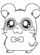 Hamster Getdrawings sketch template