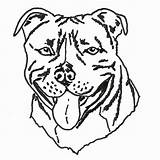 Pitbull Terrier Drawing Coloring Bull Pages Dog Head Tupac Staffy Basic Staffordshire Drawings Outline Getdrawings Boston Puppy 2pac Colouring Yorkshire sketch template