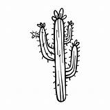 Cactus Thorn Flower Sketch Svg Transparent Mexico Hat Edit Colors Vexels sketch template