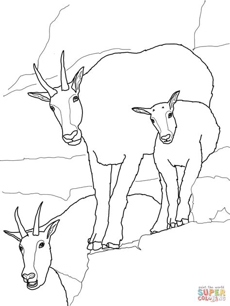 coloring pages goat coloring home