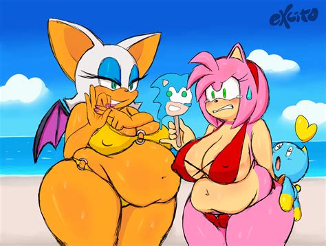 Rule 34 All Fours Amy Rose Anal Beach Cameltoe Chao