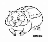 Lemming sketch template