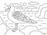 Seagull sketch template