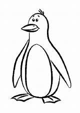 Penguin Coloring Pages Cartoon Penguins Clipart Color Printable Drawing Winter Emperor Colouring Cliparts Kids Silly Enjoy Pittsburgh Clip Christmas Penquin sketch template