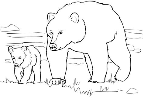 printable bear coloring pages everfreecoloringcom