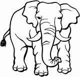 Coloring Elephant Printable Pages Kids Print sketch template