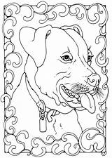 Terrier Staffordshire Bull Coloriage Bullterrier Kleurplaat Malvorlage Hond Kleurplaten Ausmalbilder Volwassenen Schulbilder Herunterladen Große sketch template