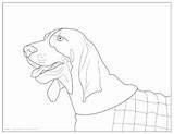 Smokey Coloring Pages Ut Sketchite Template sketch template