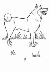 Dog Coloring Pages Dogs sketch template