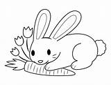 Carrot Coloring Bunny Pages Printable Paper sketch template