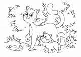 Cuccioli Gattini Gatti Animali Gatto sketch template