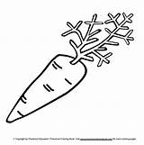 Coloring Pages Carrot Kids Colouring Color Food Vegetable Labels sketch template