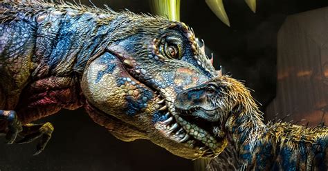 dinosaurs walk again and flaunt their feathers