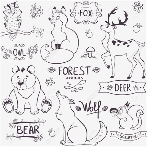 forest animals drawing  getdrawings