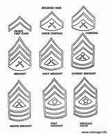 Coloring Corps Marines Grades Army Veterans Ranks Enlisted Armed Insignia Military Colorluna Militaire Fois Imprimé Gratuit Childcare sketch template