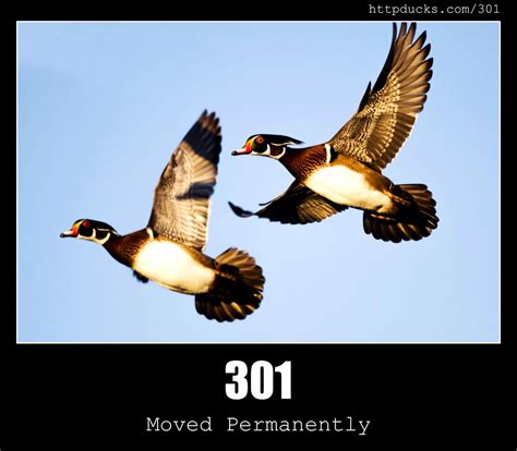 301 Moved Permanently Status Code And Ducks