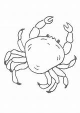 Crab Coloring Pages Sea Animal Color Printable Hellokids Print Beach Kids Online Drawing Kawaii Crafts Colouring Template Drawings Shells Shell sketch template