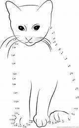 Dots Cat Connect Dot Worksheet Kids Smart Animals Printable Pdf Report Print Color sketch template