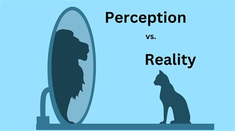 perception  reality cultivations