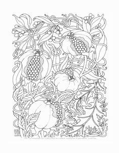 floral boarder adult coloring pages pinterest   floral