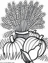 Coloring Fall Pages Harvest Autumn Printable Adult Adults Wheat Sheets Thanksgiving Colouring Flowers Kids Cornucopia Color Festival Scenes Easy Drawing sketch template
