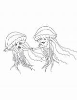Jellyfish Meduzy Kolorowanki sketch template