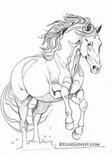 Andalusian Horses Pferde Friesian Lineart Pixstats sketch template
