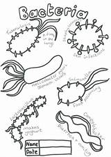 Bacteria Coloring Colouring Microbe Microbes Pdf Drawings Designlooter Tes 500px 91kb Resources Kb Teaching sketch template