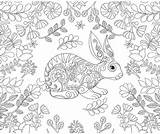 Rabbit Lapin Colorier Lapins Hasen Adulte Erwachsene Erwachsenen Páginas Hase Senioren Pascher Mandalas Pinnwand Feuilles Ausmalen sketch template