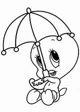 Tweety Coloring Pages Bird Cute sketch template