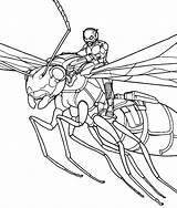 Ant Man Coloring Drawing Pages Vespa Kids Flies Wasps Who Over sketch template