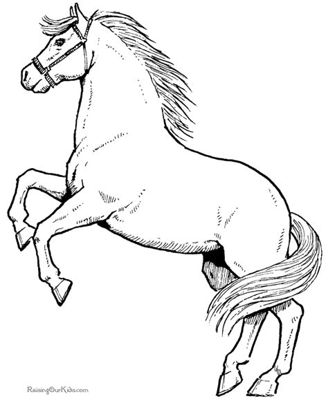 horse  pony coloring pages coloring home