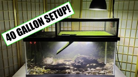 gallon turtle tank stand bruin blog