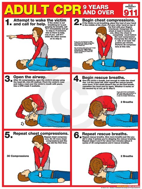 adult cpr poster usa labor law posters adult cpr cpr