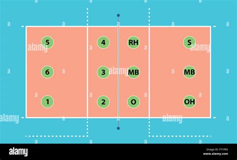 volleyball court positions