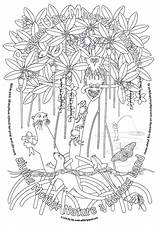 Mangrove Colouring Drawing Tree Rum Sheets Paintingvalley Ubin Restore Nipah sketch template