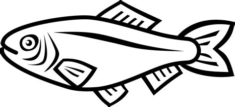 fish vector clipart