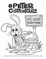Cottontail Bunny sketch template