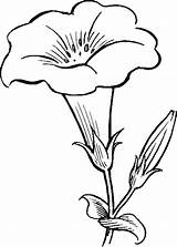 Bunga Putih Kartun Mewarnai sketch template