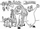 Madagascar Characters sketch template