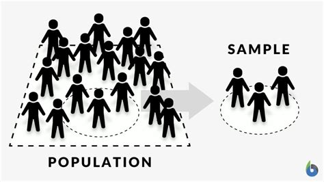 population definition  examples biology  dictionary