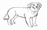 Lab Coloring Pages Chocolate Drawing Yellow Clipart Science Line Getdrawings Bar Getcolorings Puppy Print sketch template