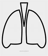 Lungs Pinclipart Jing sketch template