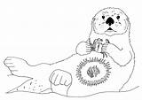 Otter Sea Drawing Education Food Chain Resources Getdrawings Specialist Iucn Group sketch template