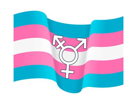 transgender flag illustrations royalty free vector graphics and clip art