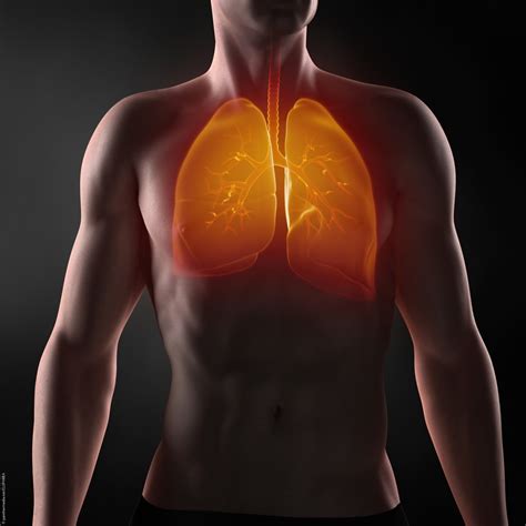 bildgebung der lunge fuer eine gesunde atmung
