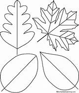 Leaf Traceable Template Library Clipart Patterns sketch template