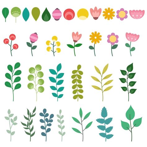 premium vector set  isolated floral elements